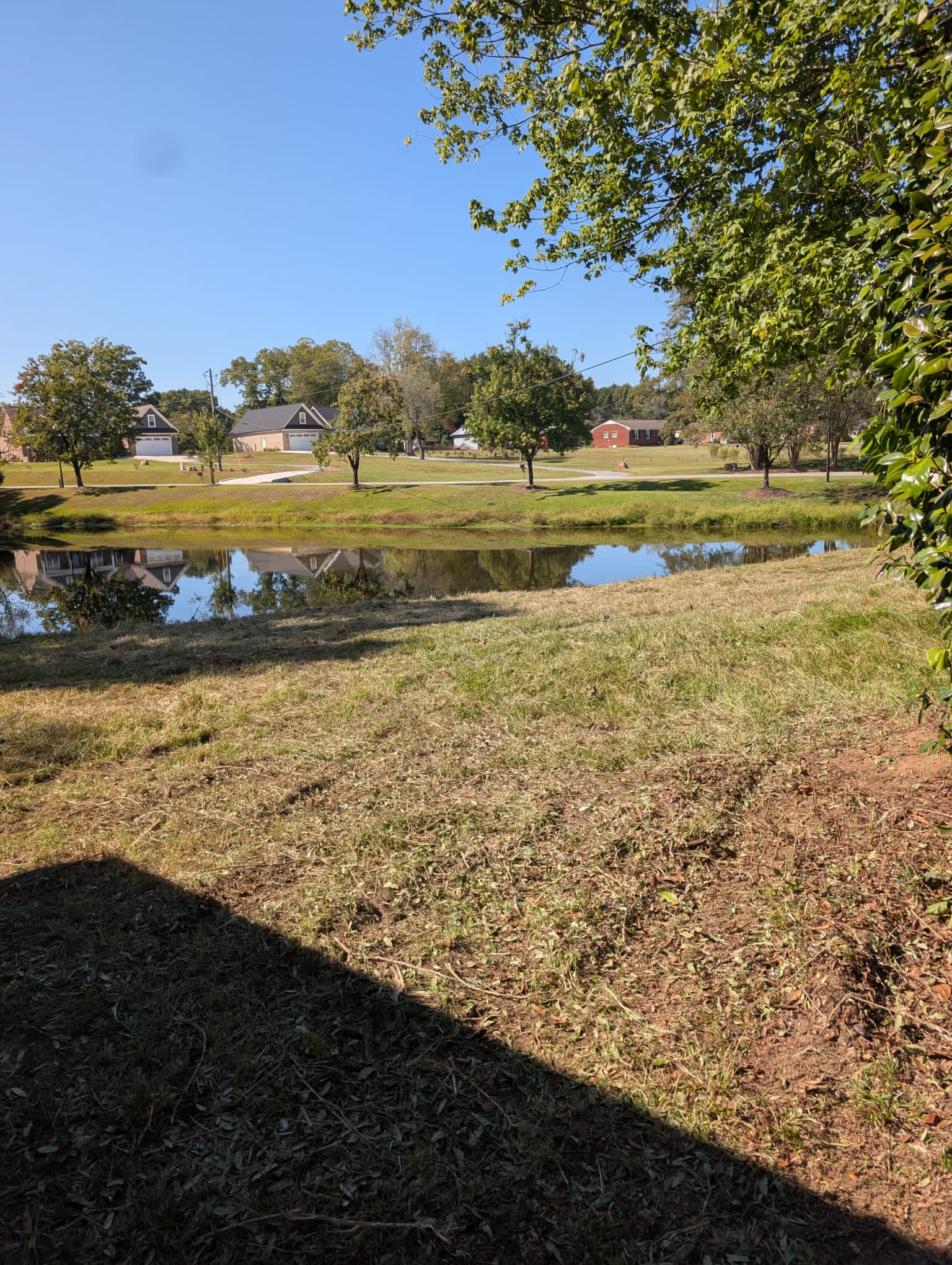 Pond cleanup project