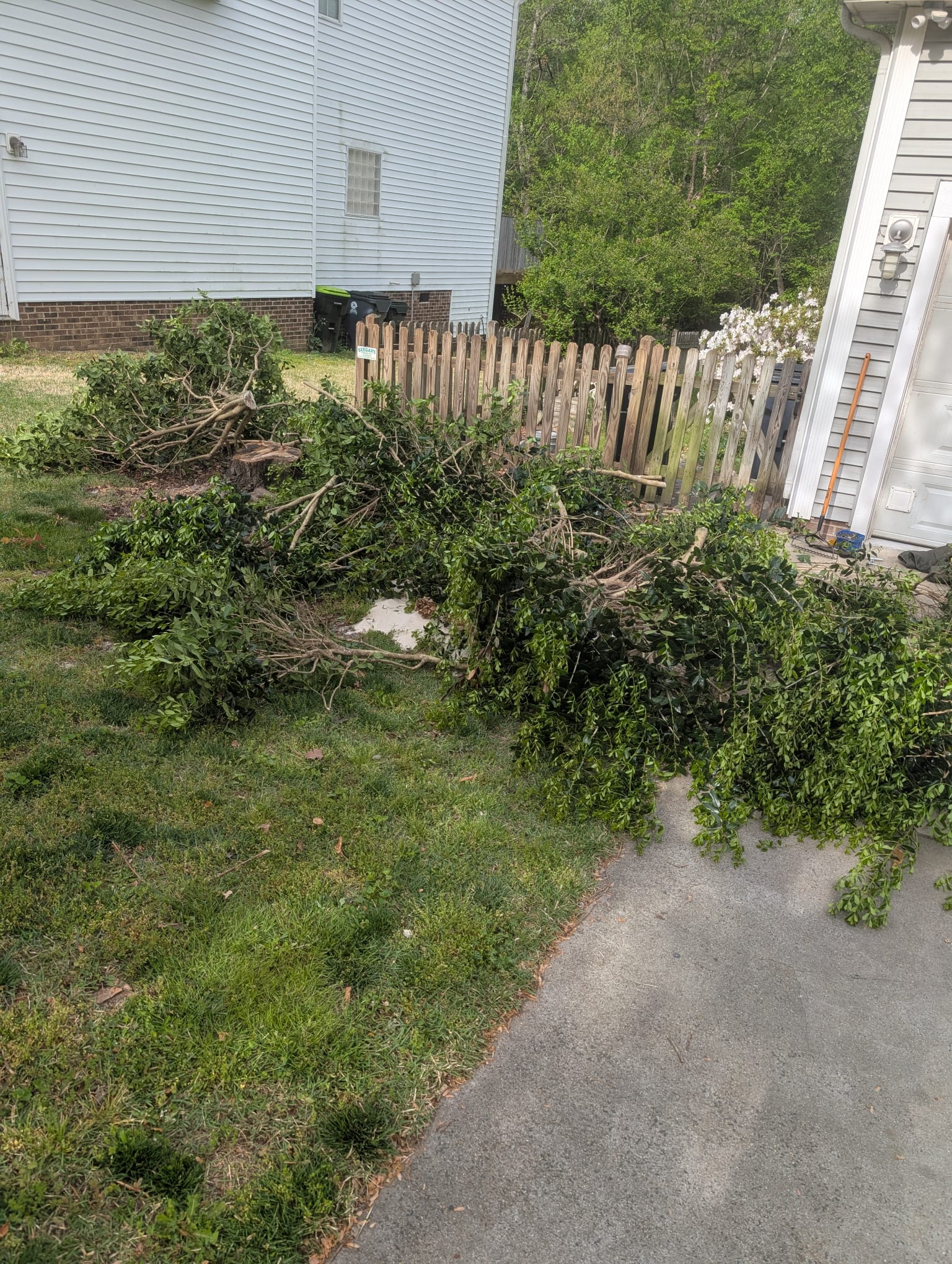 Bush cleanup project