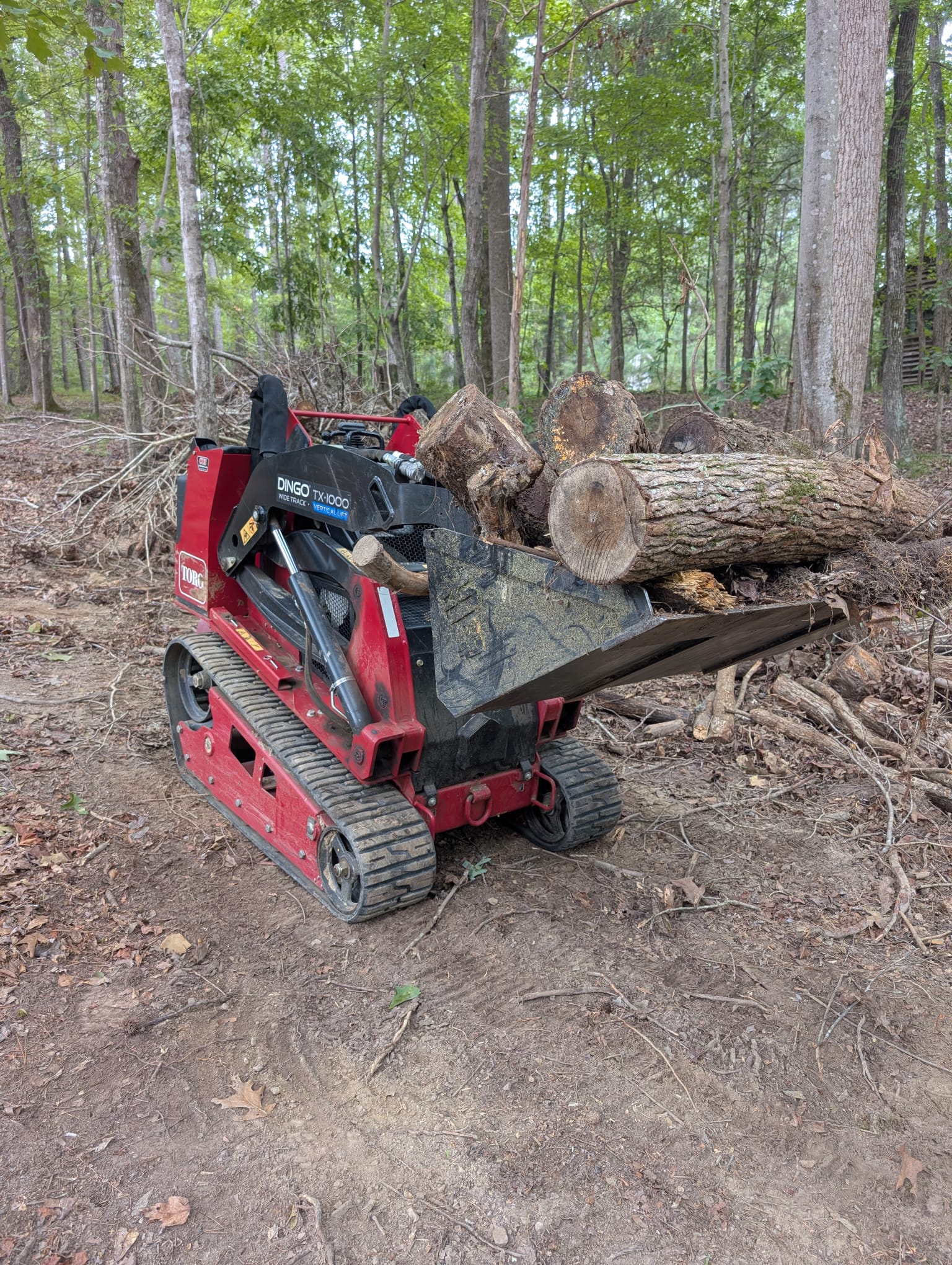 Logs removal project