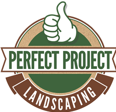 Perfect Project Logo